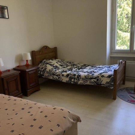 Chambres Individuelles Avec Partie Commune Ou Logement Entier Si Disponible Via Rhona Vulbens エクステリア 写真